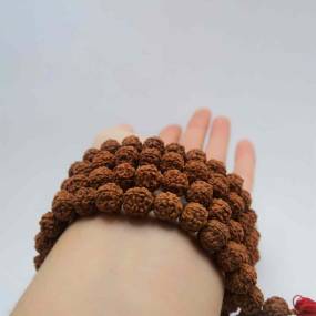 Rudrakshas Online in Mumbai