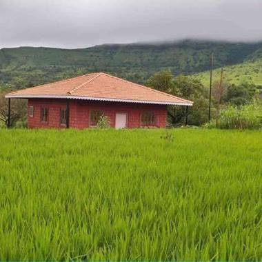 Vastu for Agriculture Land in Mumbai